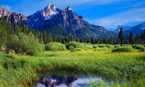 Sawtooth Recreation Area