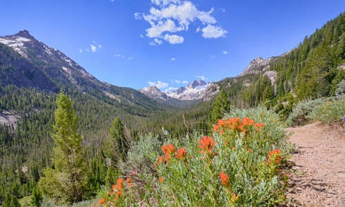 Sawtooth Hiking