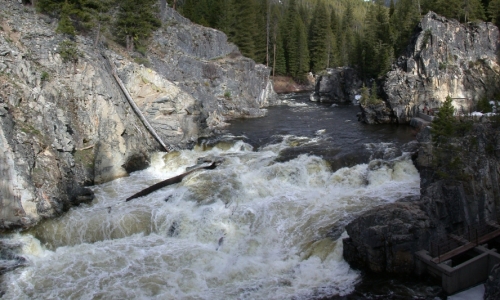Salmon River Rafting Idaho