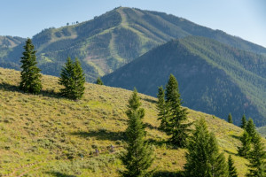Sun Valley Resort