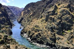 Salmon Raft Company - Salmon River trips