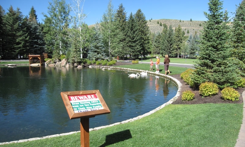 Sun Valley Lodge