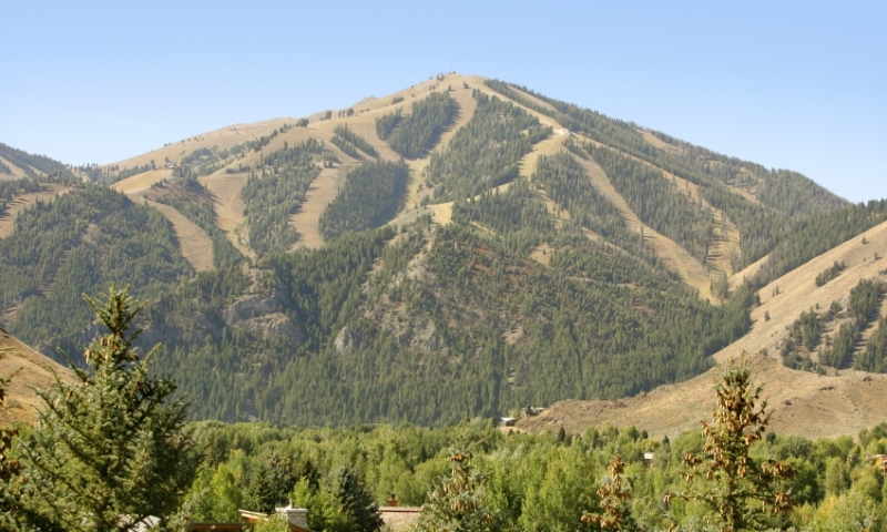 Bald Mountain in the Summer