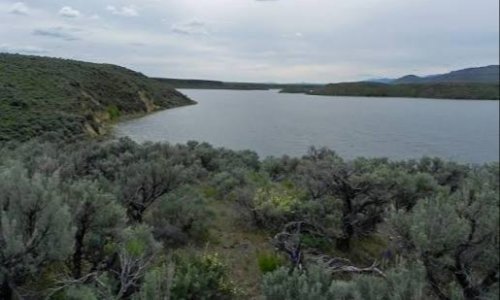 Magic Reservoir