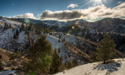 Boise National Forest