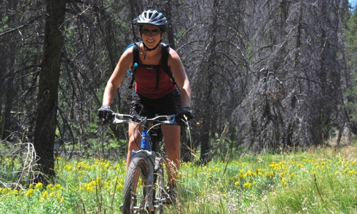 Biking & Bike Rentals