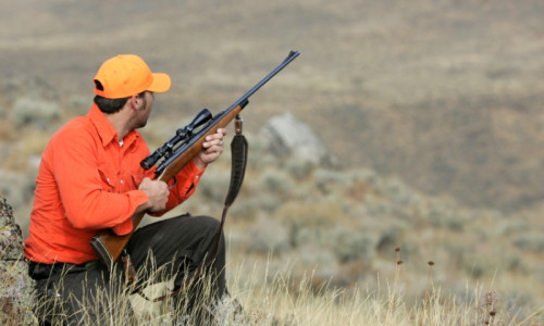 Hunting / Outfitters