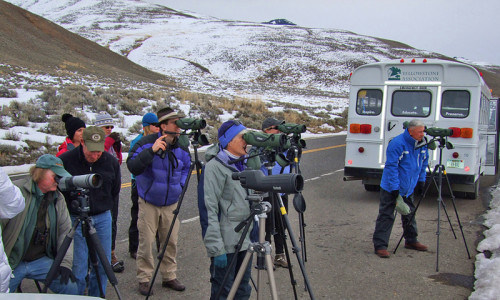 Bus Tours & Charters